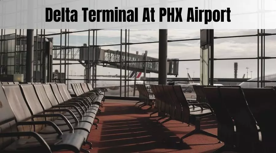 Delta Terminal At PHX Airport